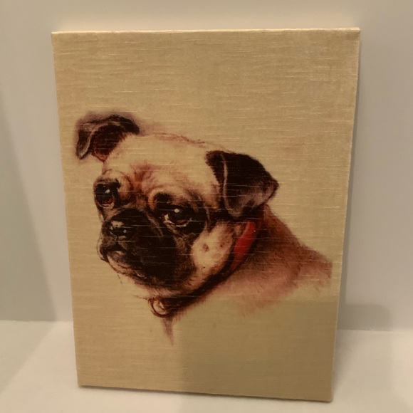 Other - Sweet Pug
